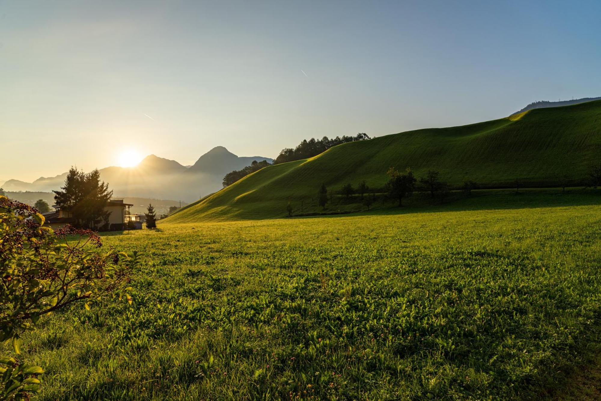 Mid Mountain Apartment Tirol Wiesing Exterior photo